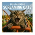 thumbnail image 2 of Bpyeka CalendarsFunny 2026 Calendar Screaming Cats 12 Month Hilarious Calendar with Funny Memes for Lovers Monthly Humor Planner for Home and OfficeFall Decor, 2 of 5