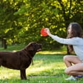 thumbnail image 4 of LECHONG Christmas Dog Toys 6 Pack 3.5" TPR Dog Chew Toys Squeaky Balls for Medium and Large Dogs, 4 of 7