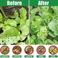 thumbnail image 5 of Garden Netting 3.3 x 3.3FT Ultra Fine Bird Barrier for Vegetable Beds Flowers Fruit Bushes Outdoor Plant Protection, 5 of 5