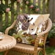 thumbnail image 4 of CaiYueKe Decorative Throw Pillow Cover Cute Embroidery 3D Effect Sofa Bedroom Living Room Home Decor Accent Pillowcase Soft Short Lint Cozy Pillow Cushion Cover Decorative Pillow, 4 of 7