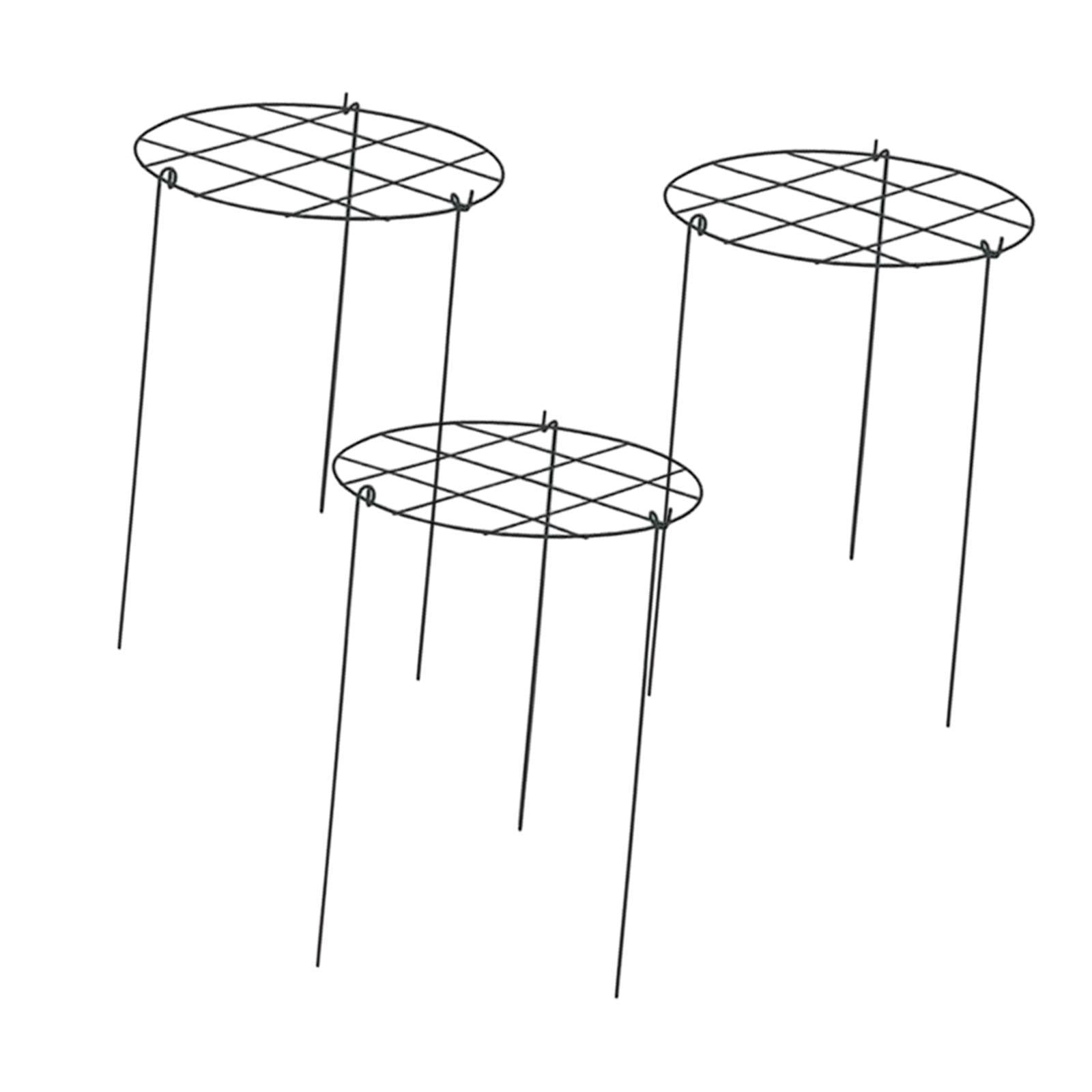 oshhni 3 Pieces Peony Cages and Supports Metal for Hydrangea Vegetables Tall Plants Grids