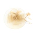 thumbnail image 4 of Fascinator for Women! Comdrip Fascinator Women's organza Church Kentucky Derby British Bridal Tea Party Women's Fascinators Beige One Size, 4 of 7