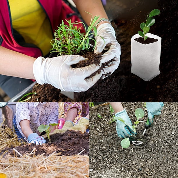 Bolsa de plántulas biodegradable, 300 piezas Bolsas de plantas no tejidas Bolsas de plantación de jardín Adecuadas para verduras, tomates, uvas - Tres tama?os