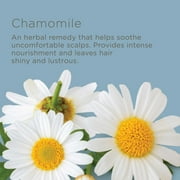 Hairitage Perfect Dose Balancing Conditioner with Rosemary Oil | for Dry, Oily & Sensitive Scalp, 13 fl oz