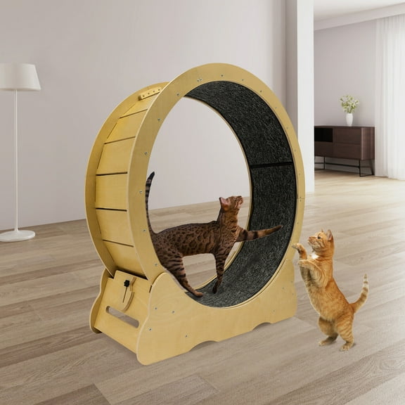 Manual Cat Exercise Wheel, Cat Exercise Wheel for Indoor Cats Floor Mount Indoor Modern Round Cat Wheel
