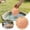 Rose Gold, variant on Pure Copper Bird Bath Purification Disk, Sunflower Shaped Water Cleaner, Outdoor Bird Bath Basin Cleaning Disc, 3.9" (Rose Gold)