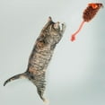 thumbnail image 3 of LEORX Cat Toy Kitten Plush Orange for Daily Entertainment 1Pcs, 3 of 8
