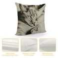 thumbnail image 4 of YINGXI  Cat Throw Pillow Covers Animal Painting Pillow Cases Pet Farmhouse Decorative Cushion Covers for Sofa Couch 20x20in, 4 of 5
