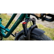 Fiido T2 Black Cargo Electric Bike Class 3 Long Tail Ebike 750W 20Ah Removable Battery E-Bike
