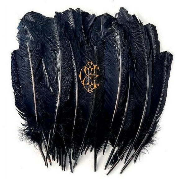 David Eugene Edwards - Hyacinth - Music & Performance - Vinyl