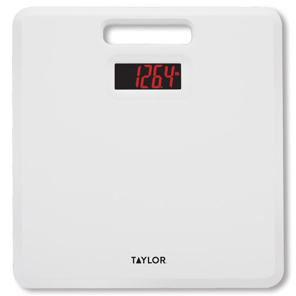 Taylor Lithium Scale