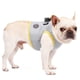 thumbnail image 5 of Arnés de enfriamiento de verano para mascotas, chaleco transpirable para la espalda y el pecho, correa para el pecho, arnés transpirable para cachorros de perro, talla XS, 5 of 6