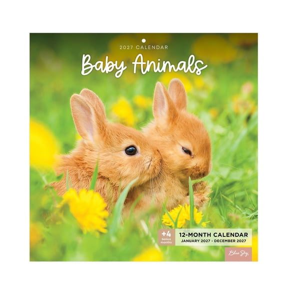 Blue Sky 2027 Monthly Wall Calendar for Home and Office, January 2027 - December 2027, 12" x 12", Stapled Binding, Pre-Punched Hole, US Holidays Listed, Baby Animals
