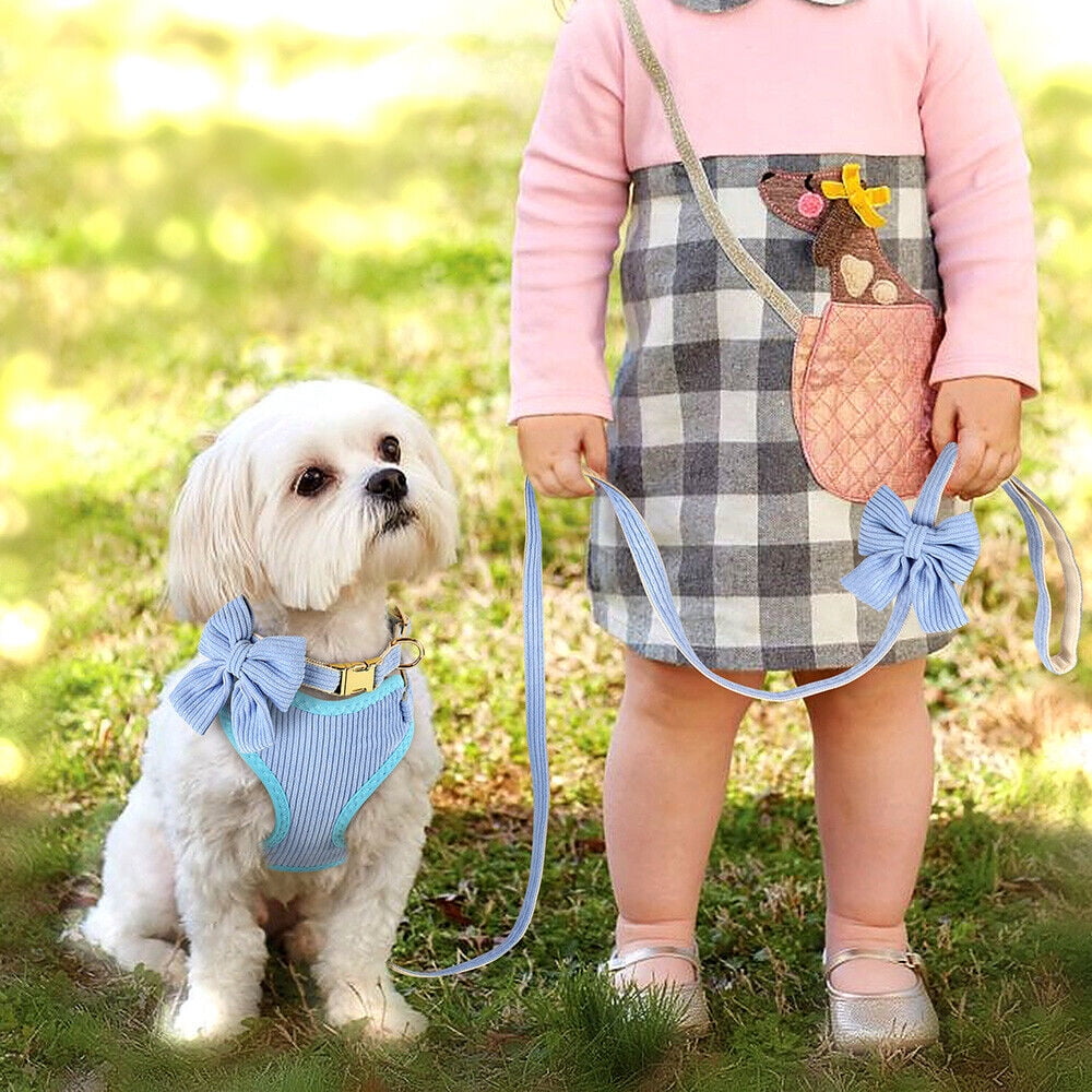 Didog Cute Bowknot Dog Collar and Soft Walking Harness and 5ft Leash set for Extra Small and Small Breeds Shih Tzu Yorkshire
