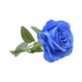 thumbnail image 2 of 20 Pieces/Kit Fake Roses Portable Solid Color Simulation Household Wedding Party Artificial Flower Branch Photography Prop, 2 of 10