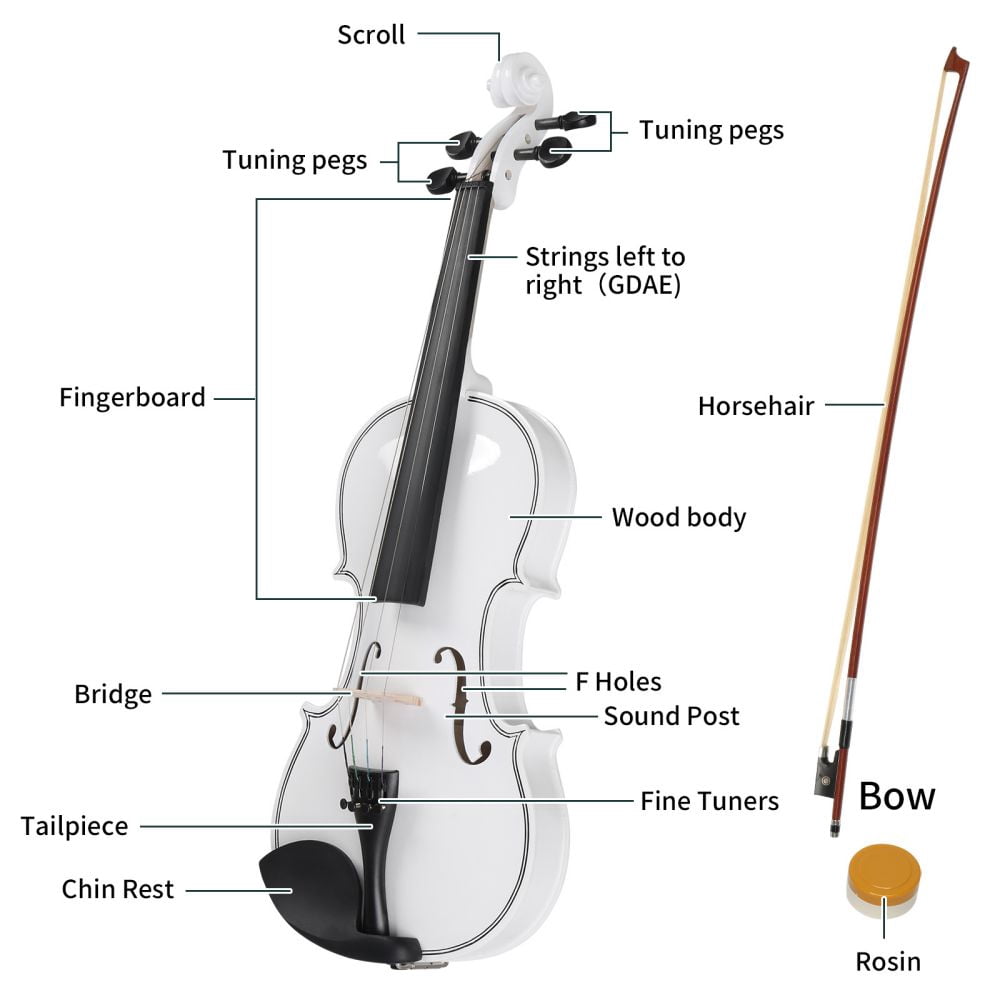 4/4 Violin Set Full Size Fiddlewith Hard Case, Shoulder Rest, Rosin, Bow and Extra Strings, for Adults Beginner Students (White)