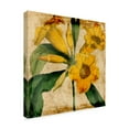 thumbnail image 2 of Trademark Fine Art 'UA BR Vibrant Floral V' Canvas Art by Vision Studio, 2 of 4