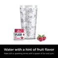 thumbnail image 4 of Gouttes d'eau aromatisée Ninja Thirsti, éclaboussure avec essence de fruit non sucrée, framboise mûre, zéro calorie, zéro sucre, sans édulcorant, 2,23 oz liq., permet de préparer 20 boissons, WCFRSP6C, 4 of 5