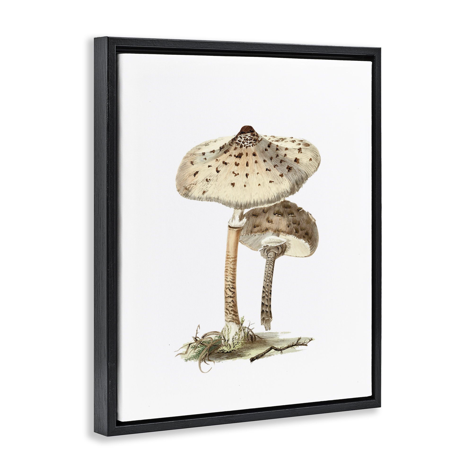 Stupell Industries Neutral Brown Mushrooms Botanical & Floral Painting Black Floater Framed Art Print Wall Art, 25 x 31