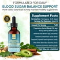 thumbnail image 4 of Moringa SugarBalance Support Extract – Multi-Herb Botanical Drops with Berberine, Cinnamon, Fenugreek, Bitter Melon & Gymnema | 650 MG Herbal Blend for Healthy Sugar Metabolism Support, 4 of 7