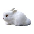 thumbnail image 2 of Hxlamzoo Jouets pour Enfants Modèle de Simulation de Pâques Modèle de Lapin Réaliste Jouets en Solde, 2 of 8
