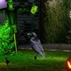 thumbnail image 5 of Estaca De Cuervo Negro Para Jardín, Decoración De Halloween Para Jardín, Fiesta, Árbol De Navidad Al Aire Libre, Accesorio De Exhibición Con Temática Espeluznante, 30x15cm (1 Unidad) Rkxzt, 5 of 9