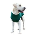 thumbnail image 4 of Recovery Suit for Dogs,Surgery Recovery Suit for Female Male Dogs, Abdominal Wounds Alternative Prevent Licking Spay Recovery Suit, 4 of 9