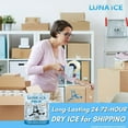 Luna Dry Ice for Shipping Frozen FoodIce Packs ShippingCold Pack ShippingIce Packs for