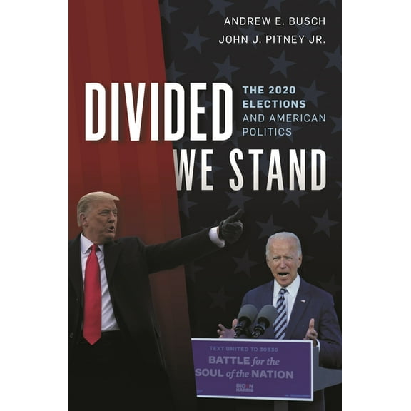 Divided We Stand: The 2020 Elections and American Politics, (Hardcover)