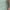 GREEN BAY, variant on Curvy Drawstring Ruched Side Split Midi Dress