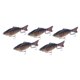 thumbnail image 1 of Paquete de 5 señuelos de pesca Swimbaits, Crankbaits, señuelos de natación para bagres, crappies, truchas, salmones, agua dulce y salada., 1 of 9