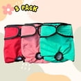 thumbnail image 3 of FanciHommie 3-Pack Reusable Female Dog Diapers with Adjustable Hook-and-Loop Tape, Ripstop Outer & Absorbent Lining,S Red/Teal/Pink, 3 of 7