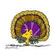 thumbnail image 2 of CafePress - Woodstock Turkey Mug - 11 oz Ceramic Mug - Novelty Coffee Tea Cup, 2 of 4
