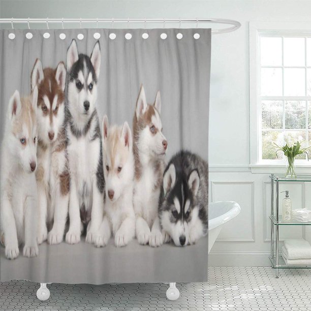 CYNLON Dog Siberian Husky on Pet Family Lap White Puppy Bathroom Decor