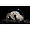 thumbnail image 3 of Putman, Tammy 18x12 Black Modern Framed Museum Art Print Titled - Frozen Bubble, 3 of 5
