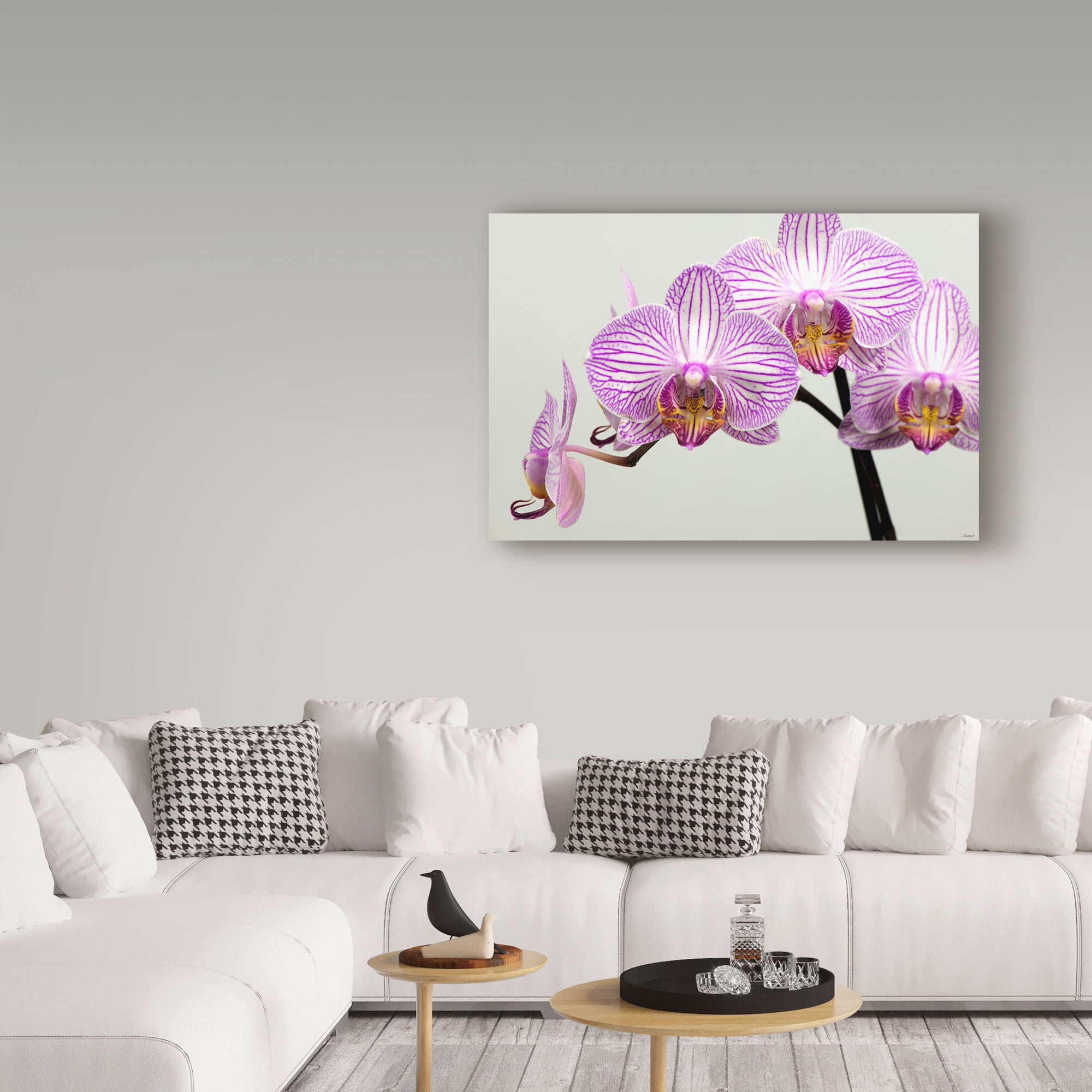 Trademark Fine Art 'Orchid Group' Canvas Art by Gordon Semmens