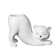 thumbnail image 1 of Cute Ceramic Tail Planter for Succulents and Herbs - Desktop Decor for Office, Kitchen, or Living Room, 1 of 3