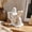 B, variant on Funny Skeleton Reading On Toilet Figurine Desk Ornament Spooky Statue Decor For Home Bathroom Halloween 1 Count