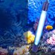 thumbnail image 1 of Luz Limpia Para Acuario, Tubo De Vidrio, Luz Limpia Para Floración De Algas De Acuario Para Piscina De Sumidero, 1 of 7