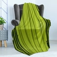 thumbnail image 4 of East Soft Flannel Fleece Throw Blanket, Bamboo Nature Series Foggy Rainforest Foliage Botanic Wild Night, Cozy Plush for Indoor and Outdoor Use, 50" x 70", Apple Green Black, by Ambesonne, 4 of 5