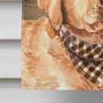 thumbnail image 4 of Carolines Treasures CK6323CHF Labrador Retriever Country Dog Flag Canvas House Size  Large multicolor, 4 of 4