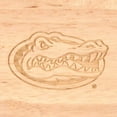 thumbnail image 3 of Florida Team Sports Gators Circo Cheese Tools Set and Cutting Board, 3 of 3