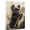 Affenpinscher, variant on Plott Hound Dog Stretched Canvas Size 8x12 – Harp Theme Dog Art for Wall, Plott Hound Dog Playing Harp Wall Art, Dog Lover Canvas Decor