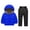 Blue, variant on Kids Winter Puffer Set Boy Girl 2-Piece Quilted Down Jacket and Sn𝗼w Pants Set Insulated Fleece Lined Snowsuit Warm Ski Suits