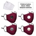thumbnail image 1 of PM2.5 Dust Mask Anti-dust Anti-haze Windproof Mouth Nose Protection Reusable Sponge Face Mask with Filter Inserts, 1 of 8