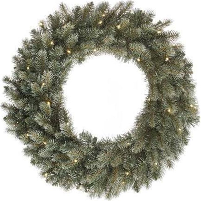 Vickerman A164361LED LED Colorado Spruce Wreath with Warm White Lights - 60 in.