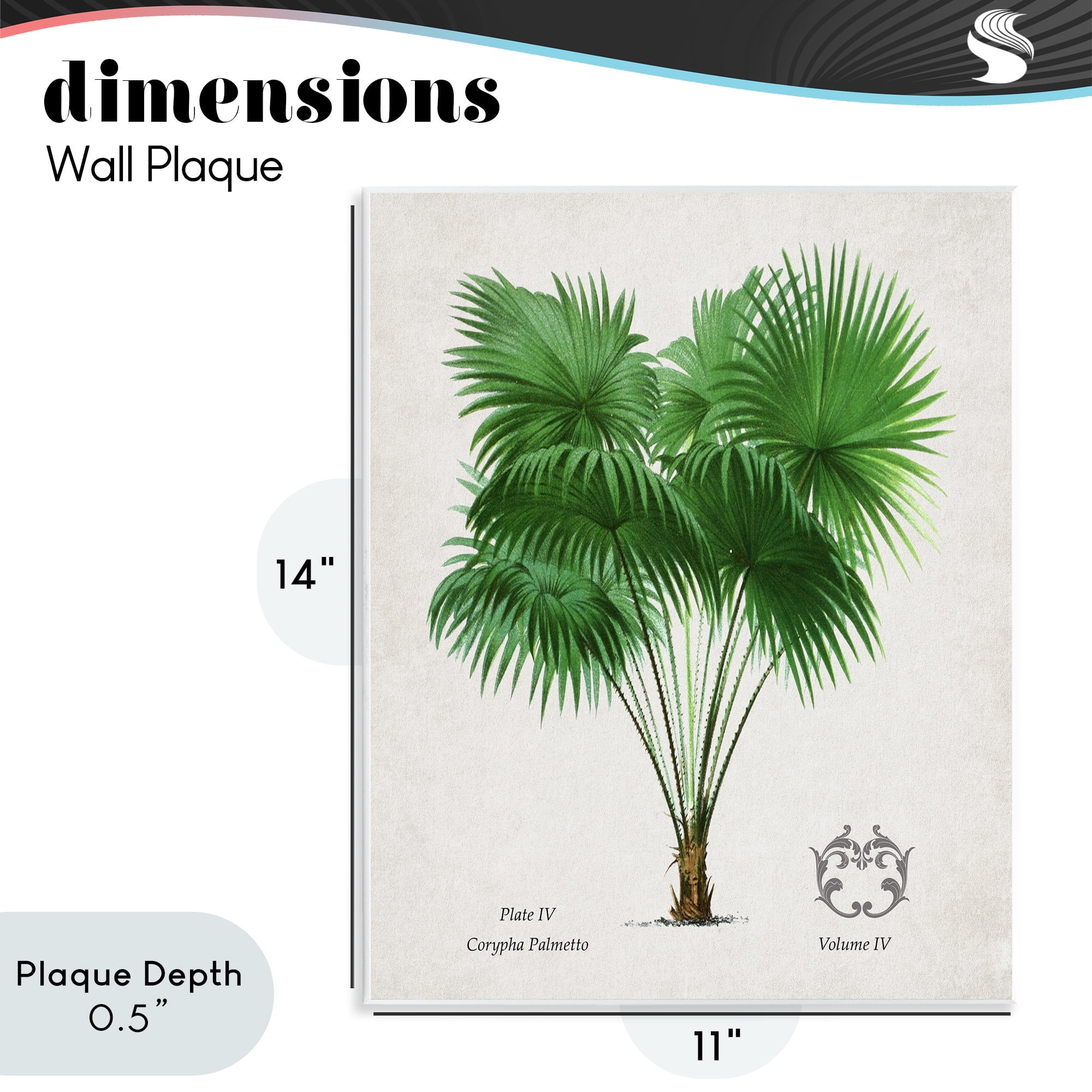 Stupell Industries Fan Palm Vintage Study Wall Plaque Art, design by Val Rhodes