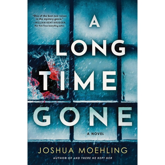 A Long Time Gone: A Novel (Paperback)