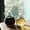 Clear, variant on Oil Dispenser Oil Pitcher,Glass Olive Oil Dispenser Bottle with Stopper — Durable Cruet for Olive Oil & Vinegar — Airtight Seal(B)