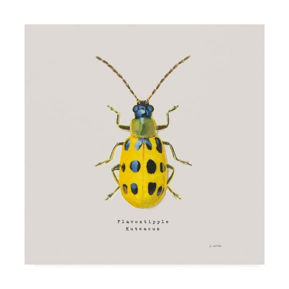 Trademark Fine Art 'Adorning Coleoptera VII Sq Golden' Canvas Art by James Wiens